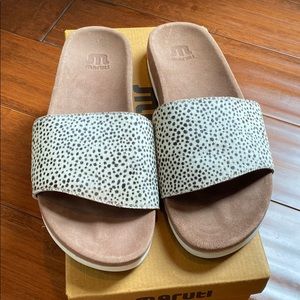 Maruti animal print slides